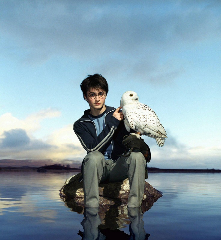 Harry Daniel Radcliffe Ed La Sua Civetta Edvige In Un Immagine Promo Di Harry Potter E Il Prigioniero Di Azkaban 141742