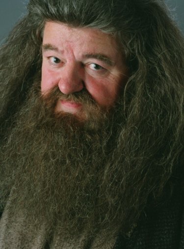Rubeus Hagrid (Robbie Coltrane) in un'immagine promo in primo piano per Harry Potter e il Prigioniero di Azkaban