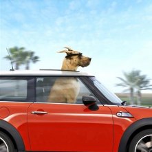 La prima immagine ufficiale di Sansone