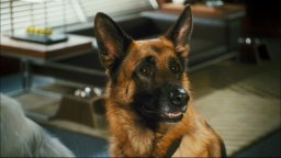 Cats & Dogs: The Revenge of Kitty Galore - Trailer