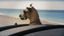 Marmaduke - Teaser Trailer