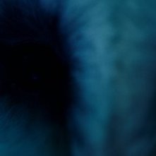 Un'immagine suggestiva dal film Il quarto tipo