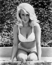 una foto di Stella Stevens
