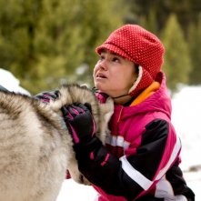 Ariel Gade E Il Cane Buck In Una Scena Drammatica Del Film Il Richiamo Della Foresta 3D 143796