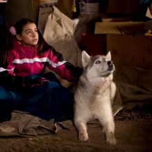 Ariel Gade e il cucciolo Buck in una scena del film Il richiamo della foresta 3D