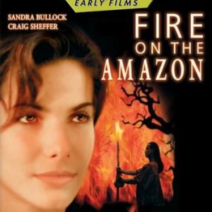 La locandina di Fiamme sull'Amazzonia