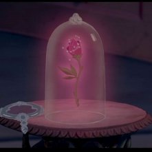 La magica rosa del film d'animazione La bella e la bestia ( 1991 )
