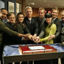 Il cast principale di Navy N.C.I.S. festeggia il 150esimo episodio: 'Flesh and Blood'