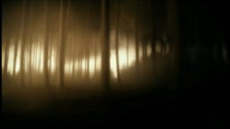 The Wolfman - Spot 'Power'