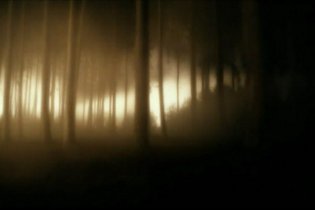 The Wolfman - Spot 'Power'