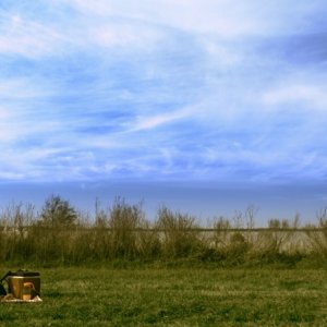 Un'immagine suggestiva del film Puzzle (Rompecabezas)