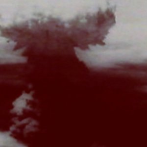 Un'immagine tratta dal film Caterpillar