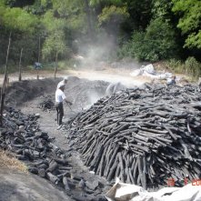 Il Mestiere Di Carbonai Ritratto Nel Film Le Quattro Volte 148657