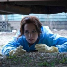 Emily Blunt E Norah Lorkowski Nel Film Sunshine Cleaning 148995