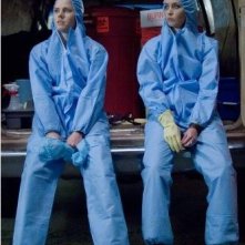 Un'immagine divertente di Amy Adams ed Emily Blunt dal film Sunshine Cleaning