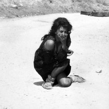 Sophia Loren in un wallpaper de La ciociara