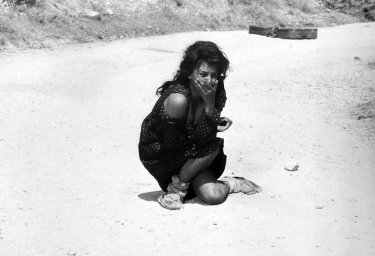 Sophia Loren in un wallpaper de La ciociara