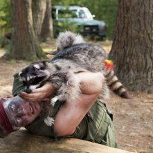 Brendan Fraser, protagonista del film Puzzole alla riscossa