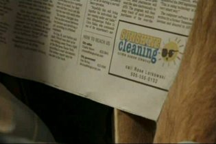 Sunshine Cleaning - Non c'è sporco che tenga - Clip esclusiva 3