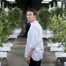 La piantagione di marijuana di Edward Norton in Leaves of Grass