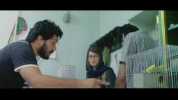 I gatti persiani - Clip 1