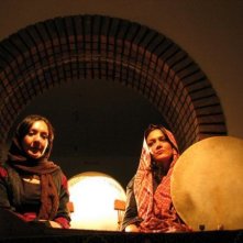 Un'immagine del film I gatti persiani (2009)