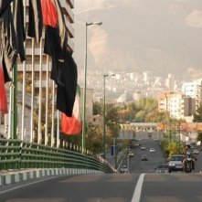 Un'immagine da cartolina dall'Iran del film I gatti persiani