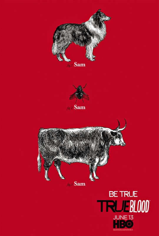 Un Nuovo Teaser Poster Dedicato Al Personaggio Di Sam Per La Stagione 3 Di True Blood 152957
