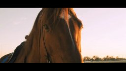 Secretariat - Trailer