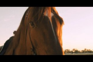 Secretariat - Trailer
