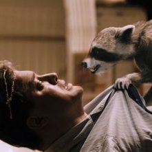 Brendan Fraser alle prese con un tenero animaletto mozzafiato nel film Puzzole alla riscossa