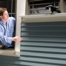 Brendan Fraser e un animale vendicativo del film Puzzole alla riscossa