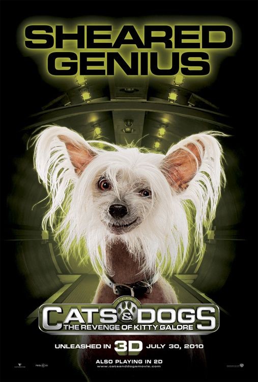 Character Poster Sheared Genius Per Cats Dogs The Revenge Of Kitty Galore 160633