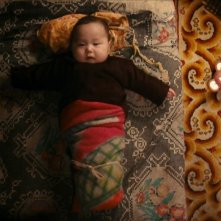 Bayar, un cucciolo d'uomo infagottato nel film Babies