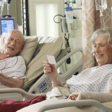 Grey's Anatomy: Alan Mandell e Marion Ross nell'episodio Shiny Happy People