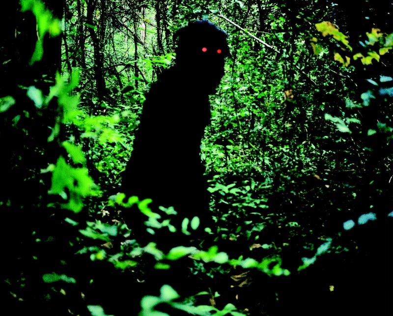 Una Misteriosa Sequenza Del Film Uncle Boonmee Who Can Recall His Past Lives 161442