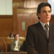 Peter Gallagher nel film Adam
