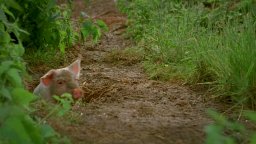 Tata Matilda e il grande botto - Trailer Italiano 2