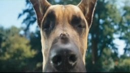 Sansone - Trailer Italiano