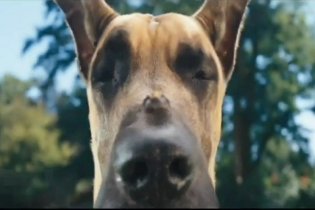 Sansone - Trailer Italiano