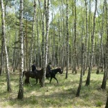 Un'immagine del film The Last Station