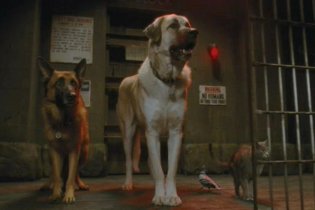 Cats & Dogs: The Revenge of Kitty Galore - Trailer 2