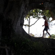 Una scena del film The Tree (2010)