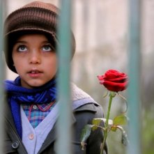 Il piccolo Denis Nikolic, protagonista del corto Armandino e il Madre