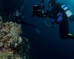 Dive on, la seconda stagione su Dove Tv da giugno