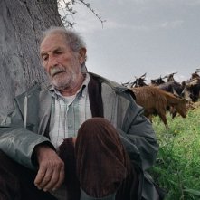 Il pastore protagonista del film Le quattro volte