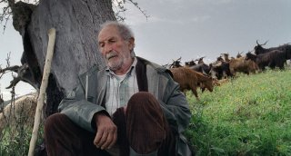 Il pastore protagonista del film Le quattro volte