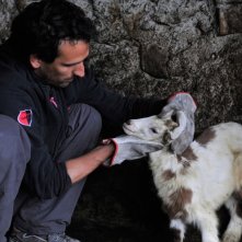 Un uomo accudisce un capretto nel film Le quattro volte