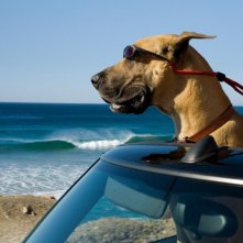 Il simpatico protagonista del film Sansone