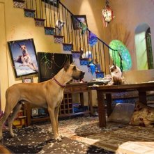 Sansone e il 'fratellastro' Carlos in una scena del film Sansone